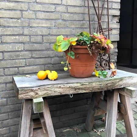 Bed & Breakfast Trekkerswagen Overnachting Bergemo Recreatie Heijen