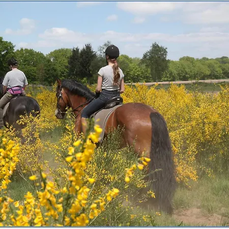 Trekkerswagen Overnachting Bergemo Recreatie Heijen
