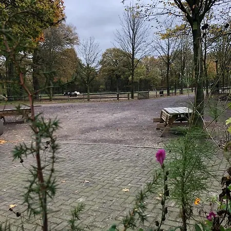 Bed & Breakfast Trekkerswagen Overnachting Bergemo Recreatie