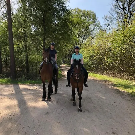 Bed & Breakfast Trekkerswagen Overnachting Bergemo Recreatie Heijen